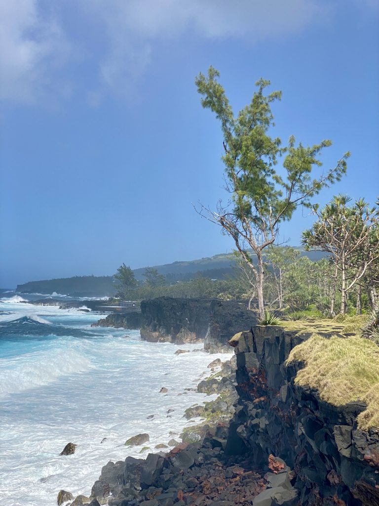 Falaise littorale bordée de filaos face à l’océan, à La Réunion