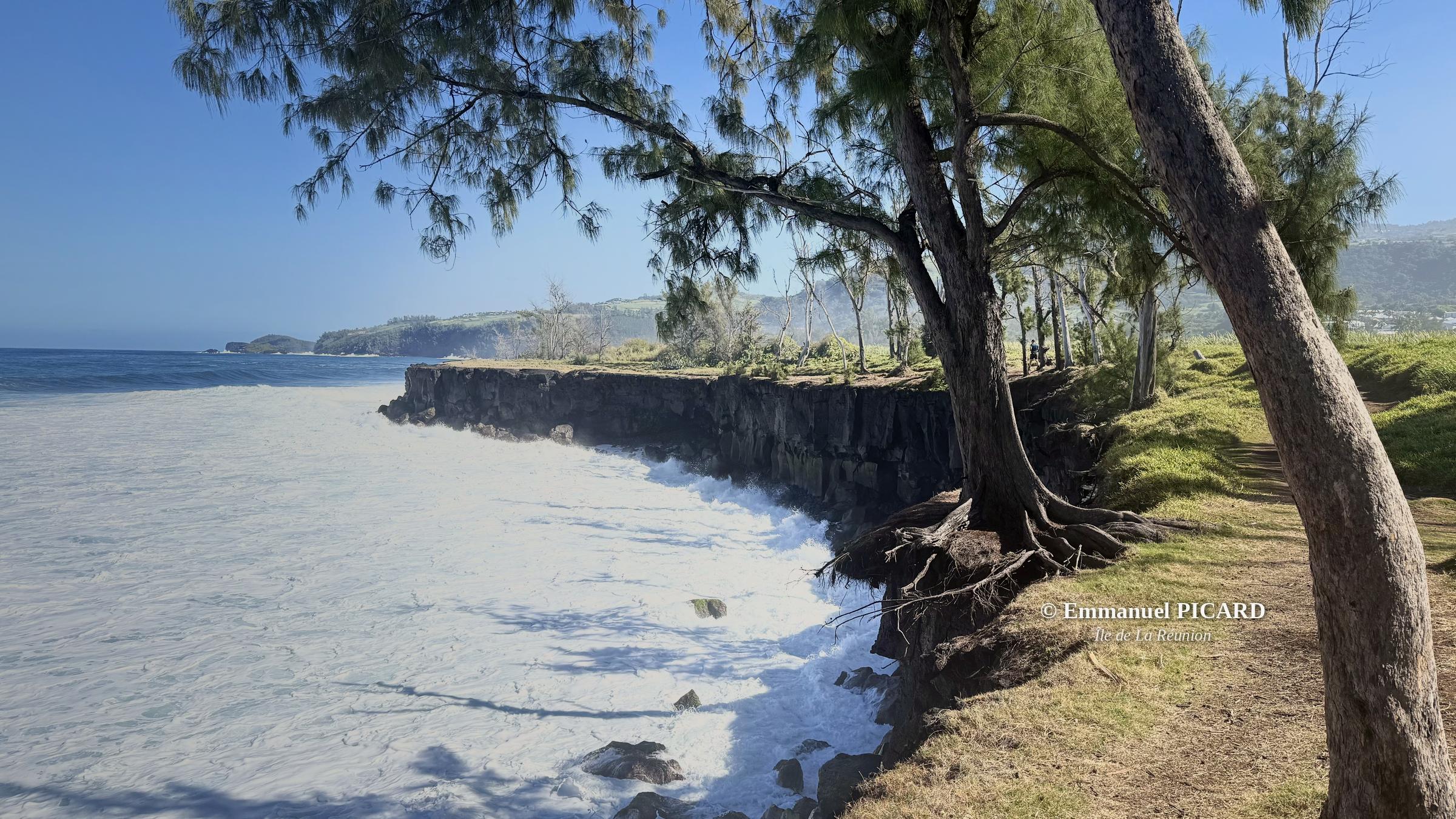 Falaise littorale bordée de filaos face à l’océan, Île de La Réunion - © Emmanuel PICARD