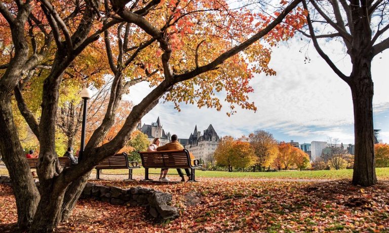 Arbre aux couleurs d’automne et banc dans un parc